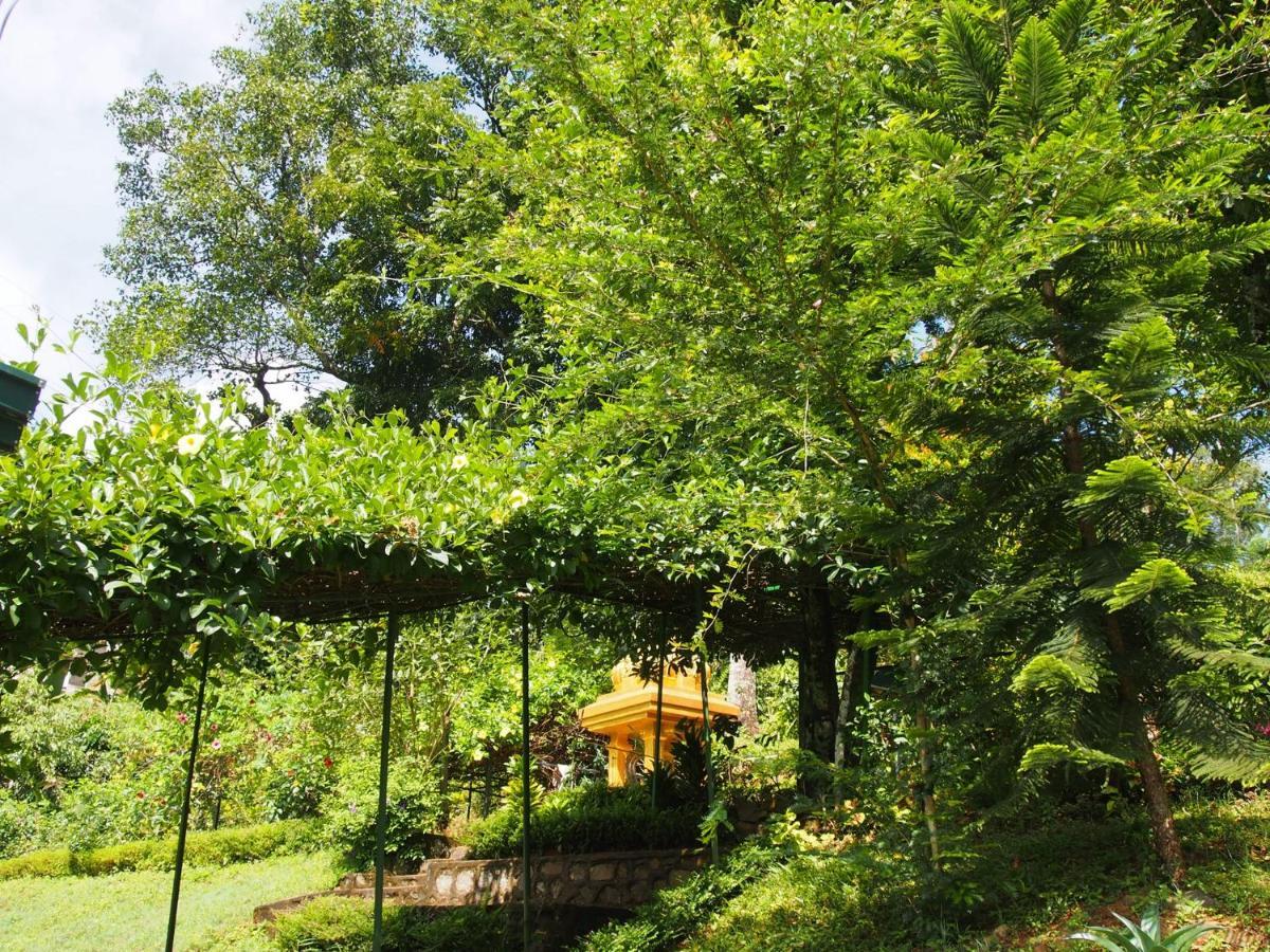 Tearamb Holiday Bungalow Otalawa Buitenkant foto