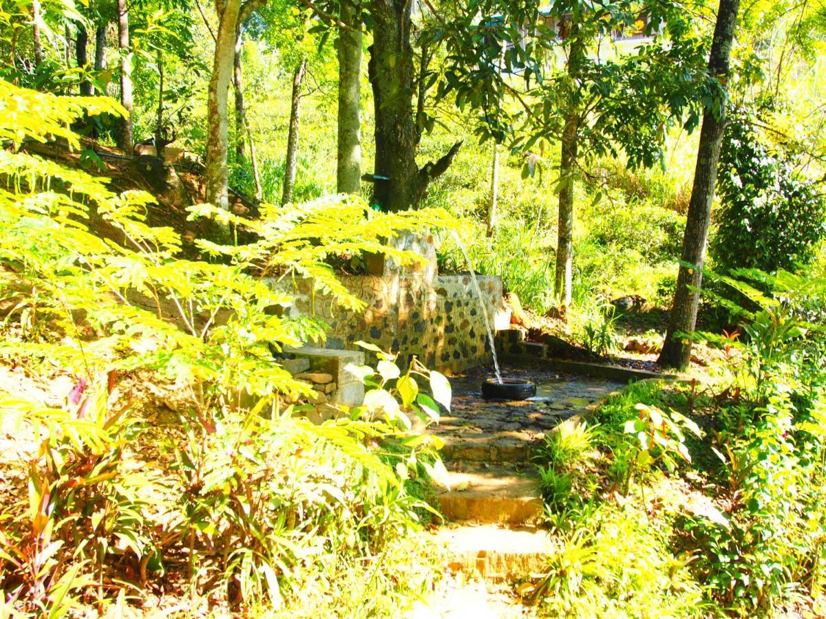 Tearamb Holiday Bungalow Otalawa Buitenkant foto