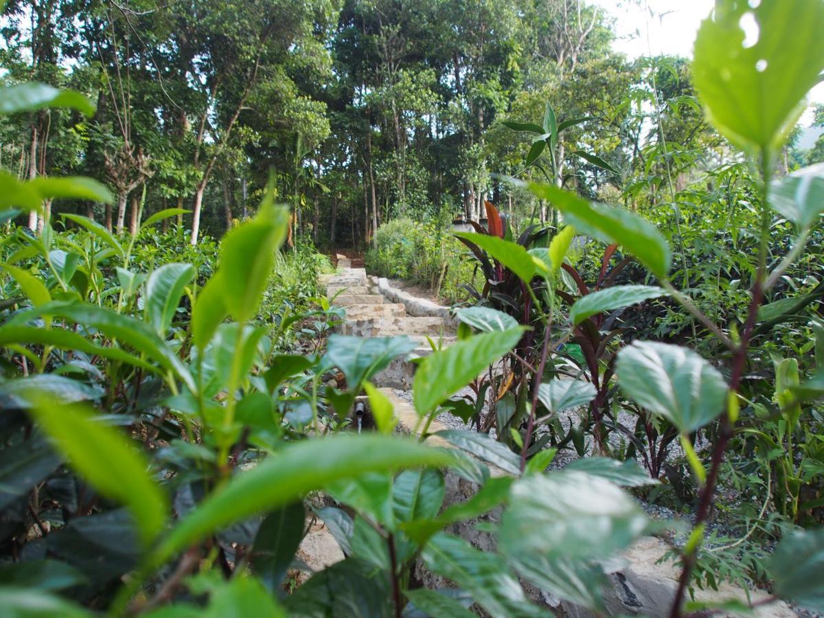 Tearamb Holiday Bungalow Otalawa Buitenkant foto
