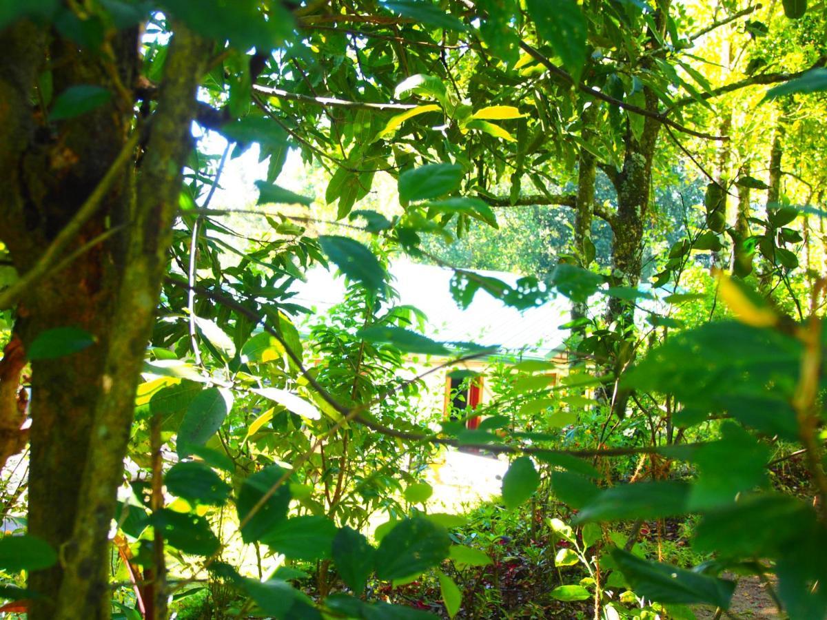 Tearamb Holiday Bungalow Otalawa Buitenkant foto
