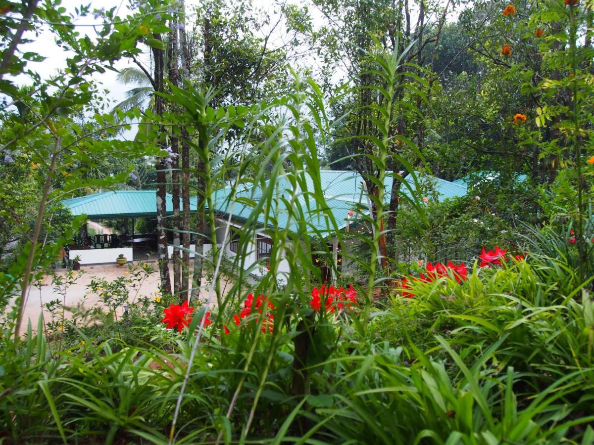 Tearamb Holiday Bungalow Otalawa Buitenkant foto