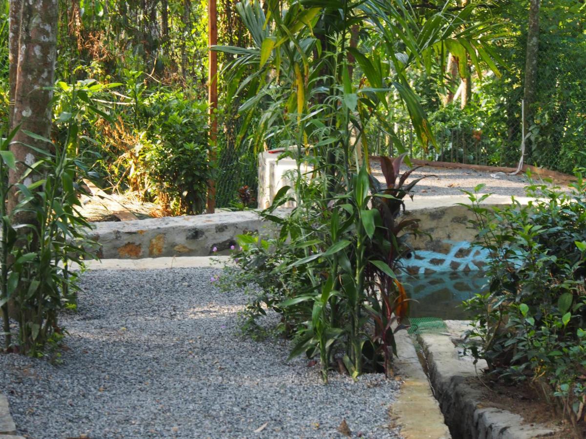 Tearamb Holiday Bungalow Otalawa Buitenkant foto