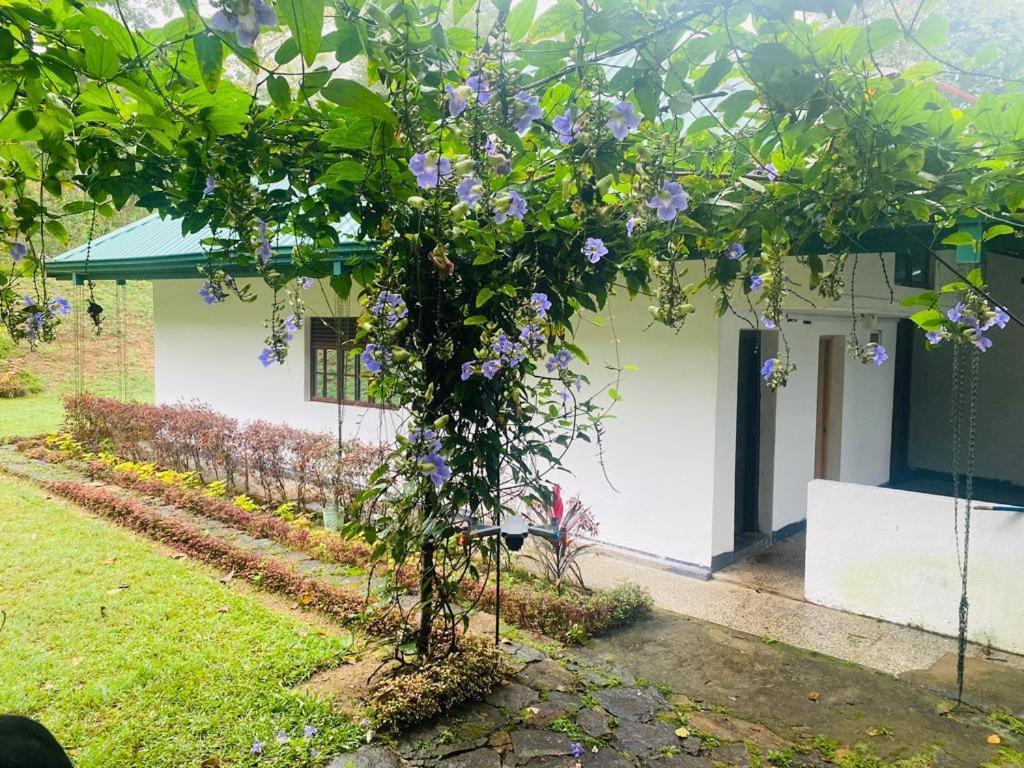 Tearamb Holiday Bungalow Otalawa Buitenkant foto